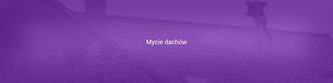 Mycie dachów