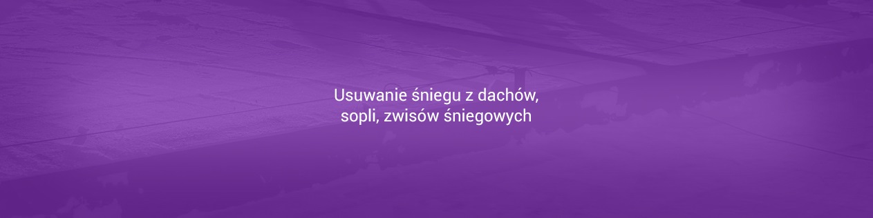 Odśnieżanie dachów